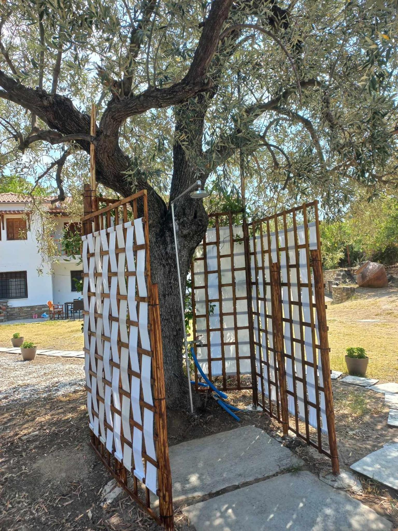 Sarakina Cottage Pelion - Property Image 3