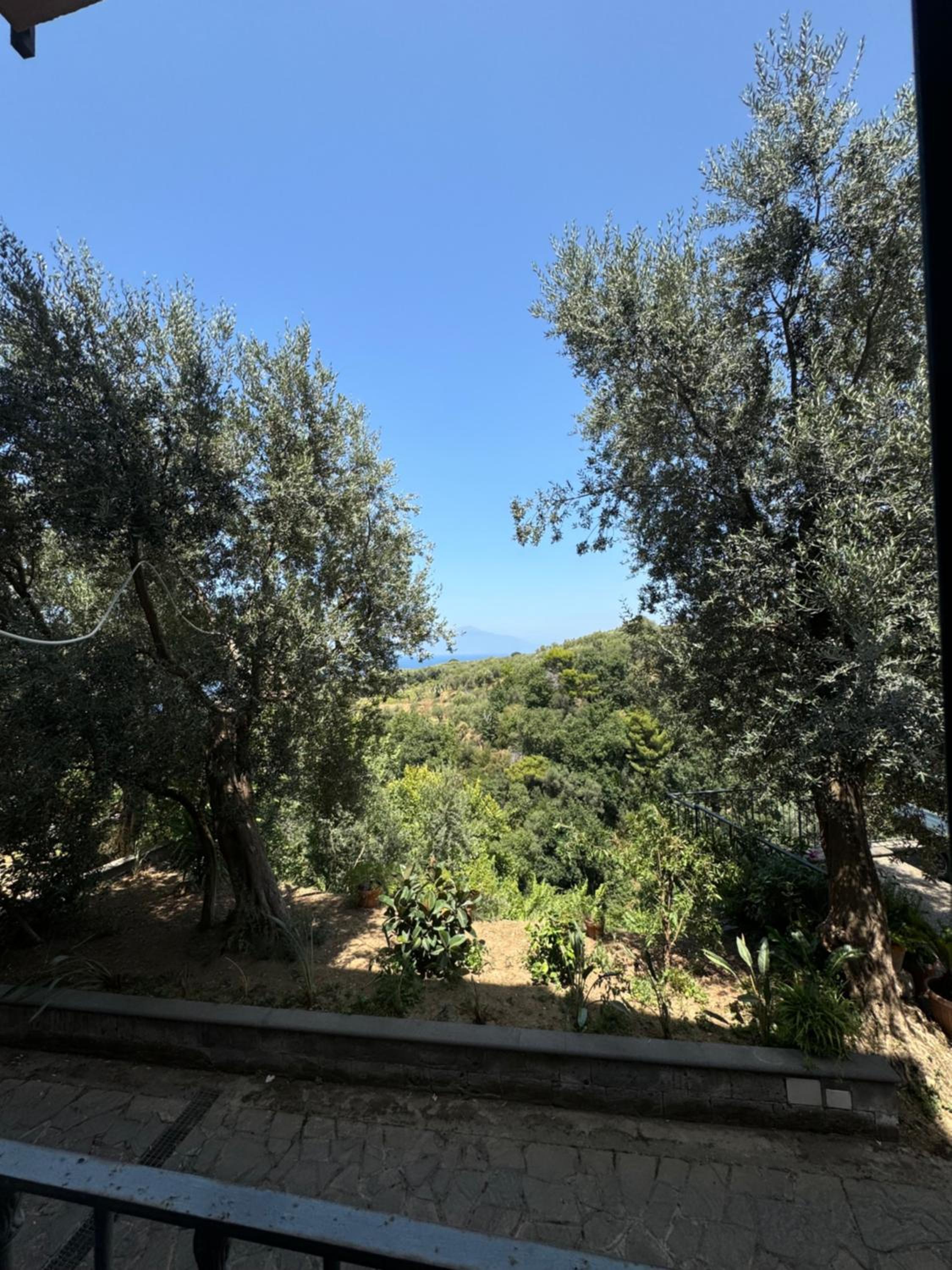 Villa Rosmary