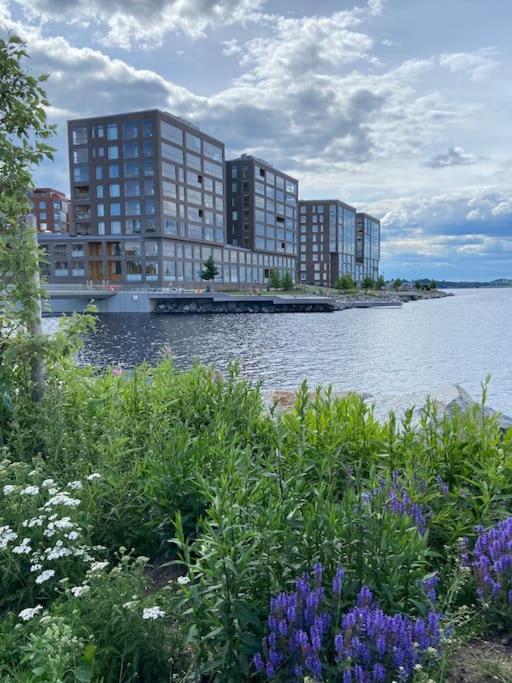 Soukkapuisto, city apartment