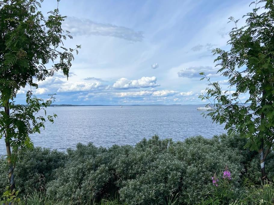 Soukkapuisto, city apartment