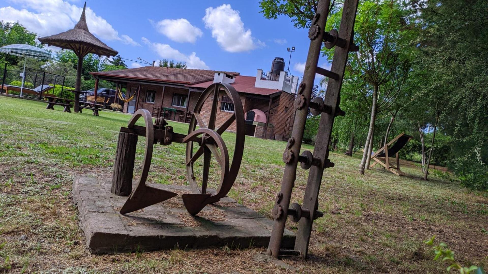 Las palmeras