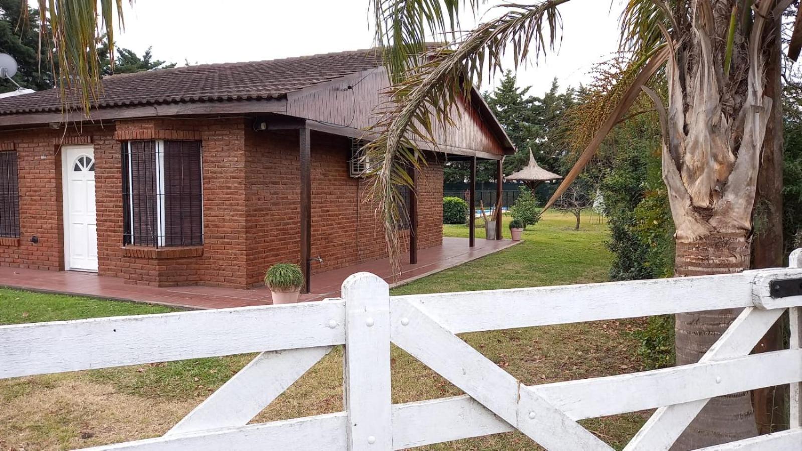 Las palmeras