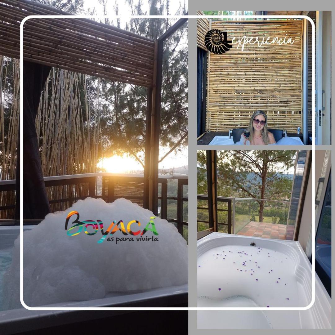 Amonitas Glamping Deluxe