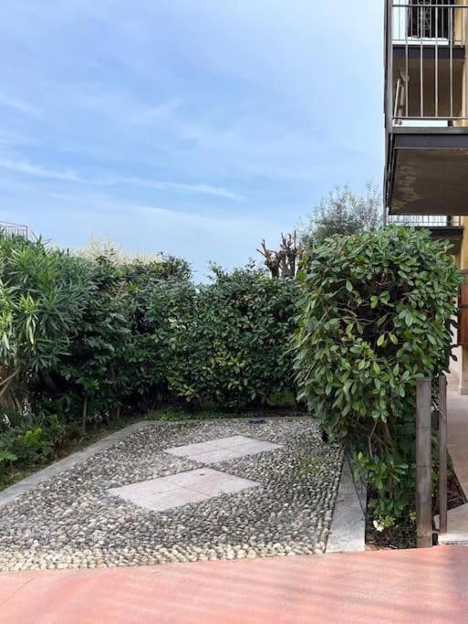 Maison Blanche