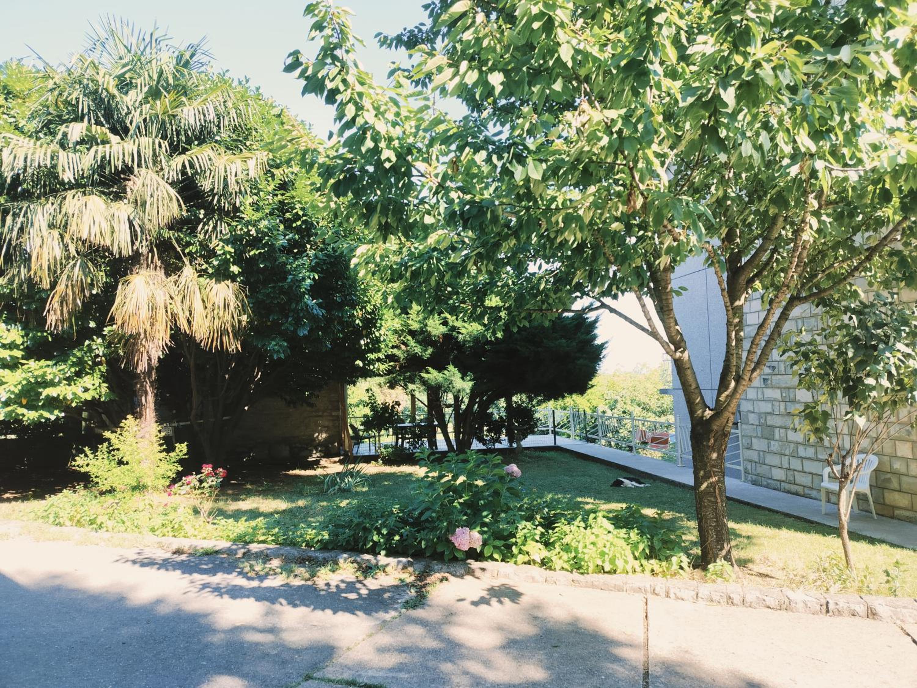 Porto Zelenika
