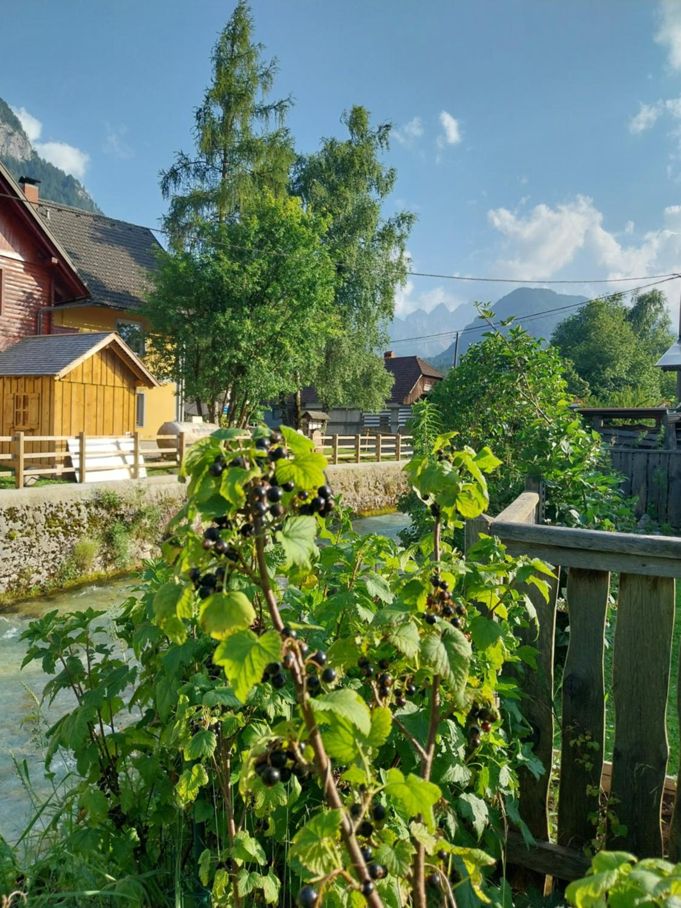 Apartma Praprot