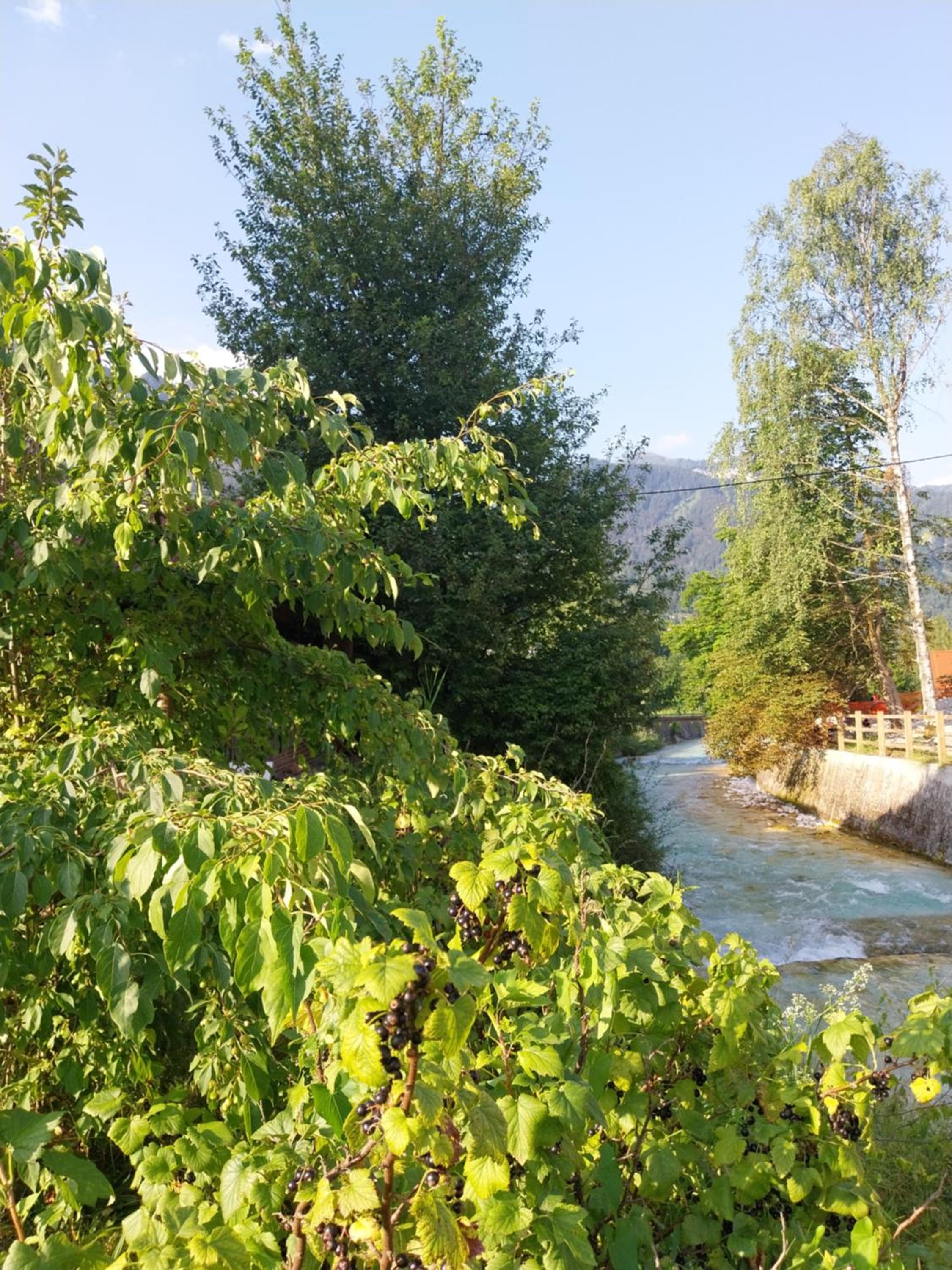 Apartma Praprot