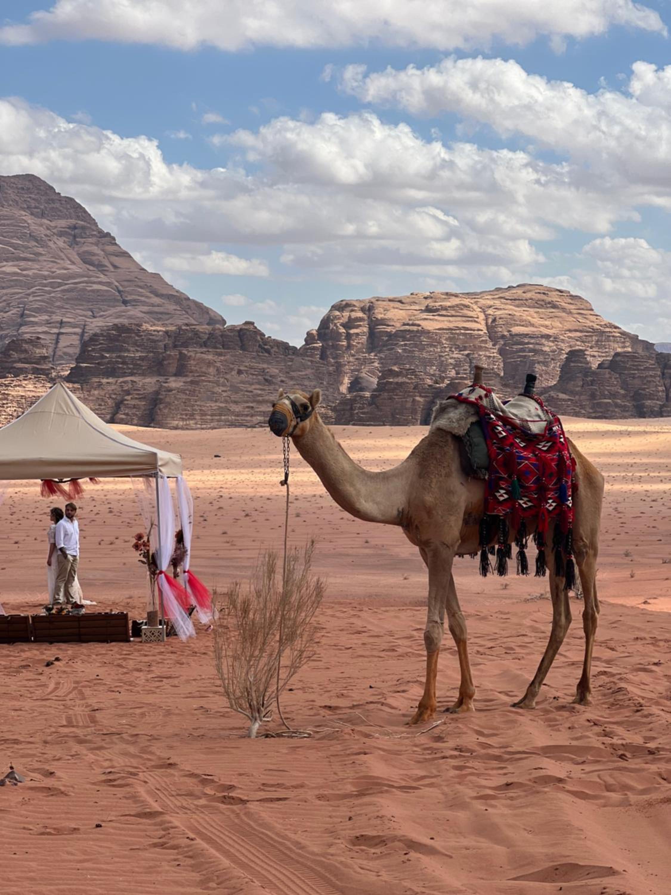 MOON RUM lUXURY CAMP