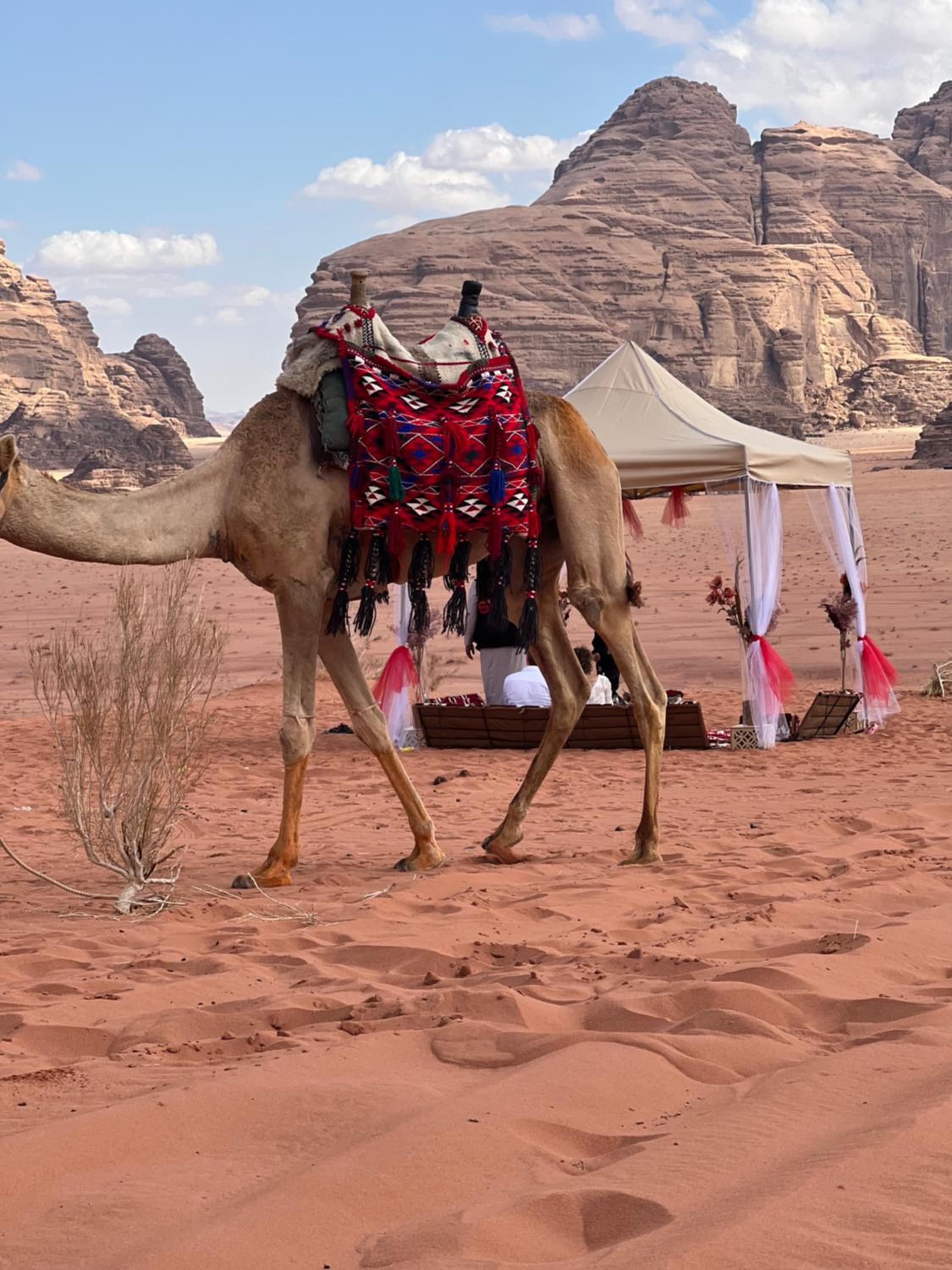MOON RUM lUXURY CAMP