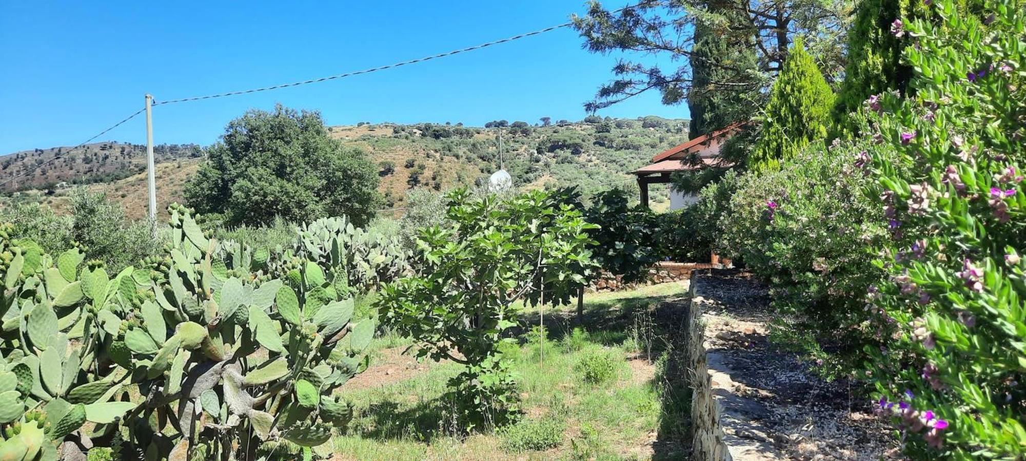 Villa al Presti, Vacanze in pieno relax