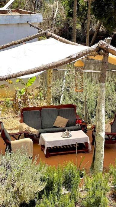 villa dans une ferme écologique view 4