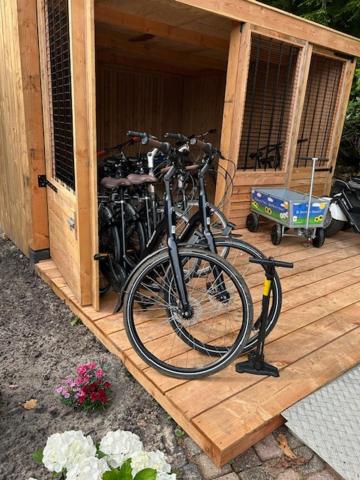 Chalet bij Lente van Drenthe nabij meer
