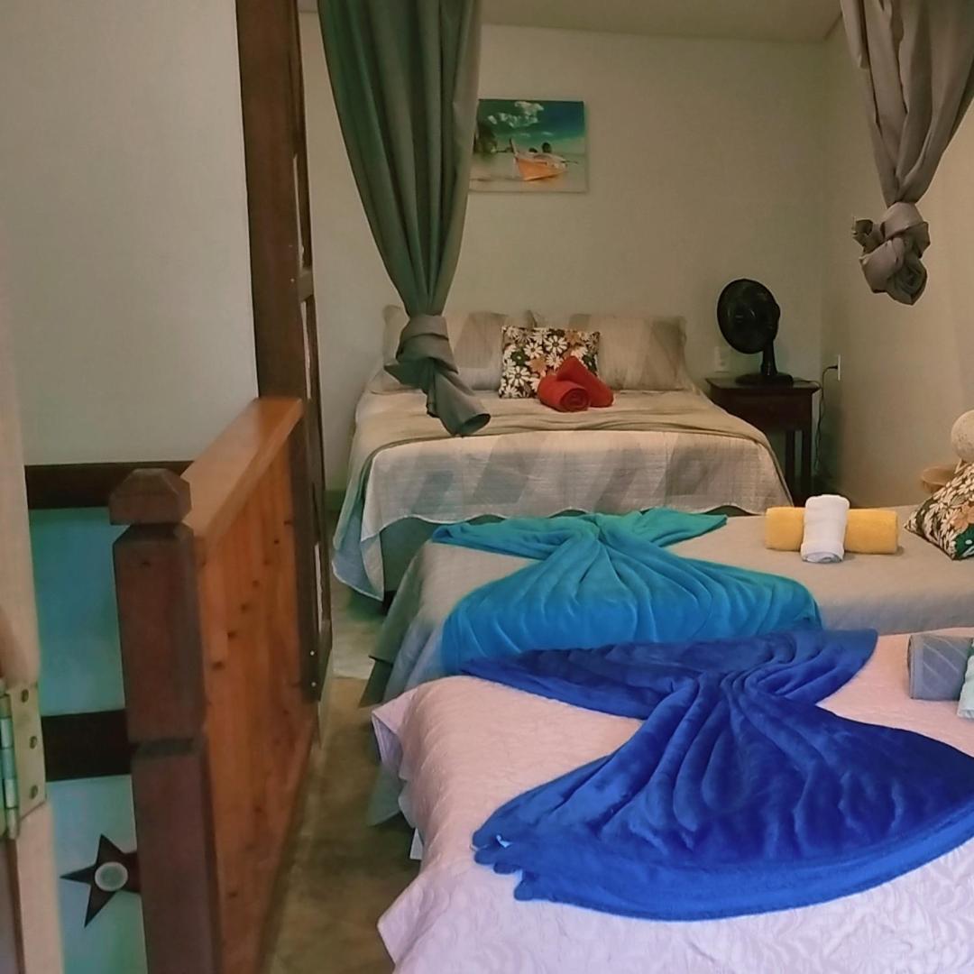 Estrela da noite