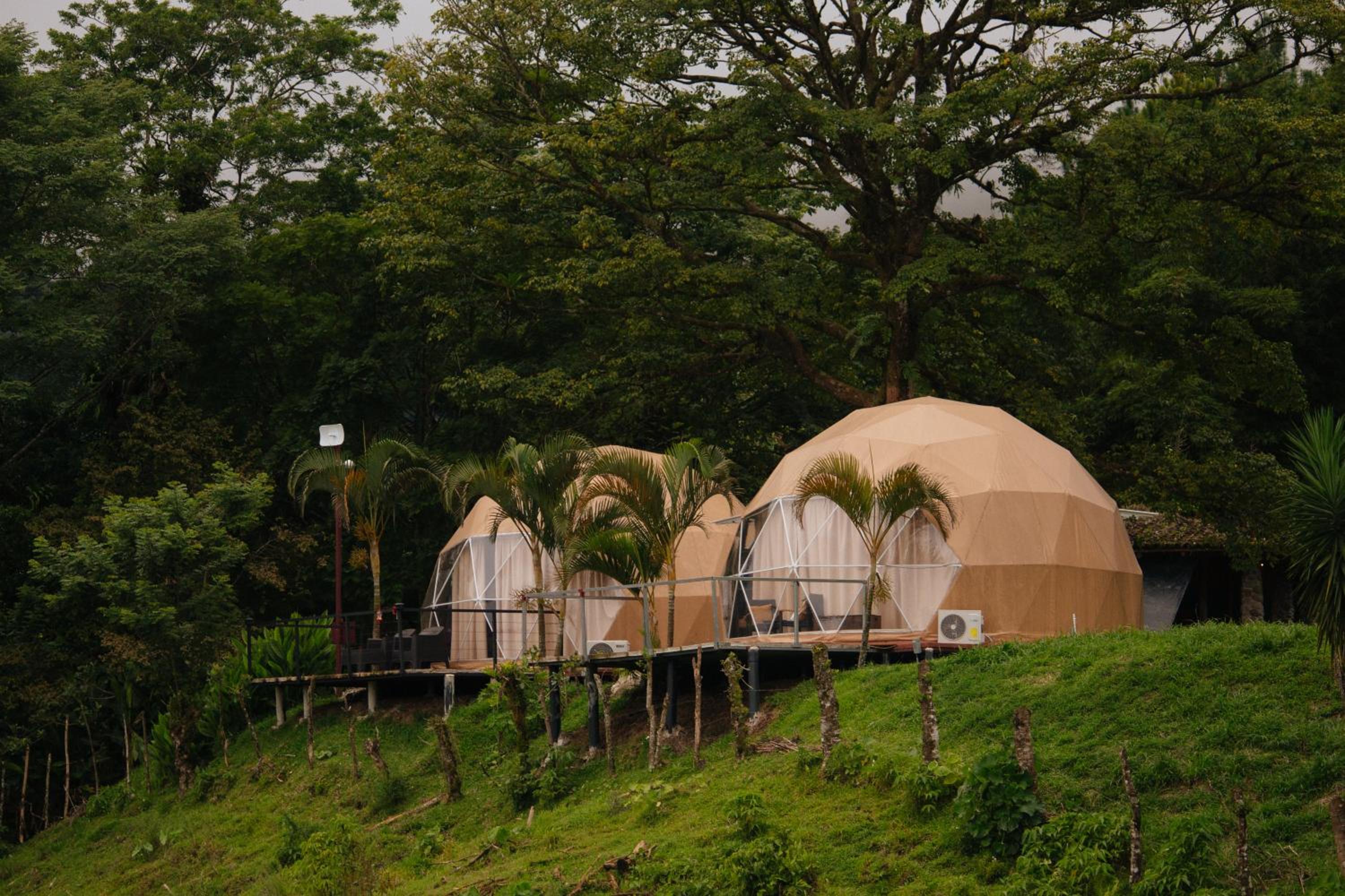 Pura Vista Glamping