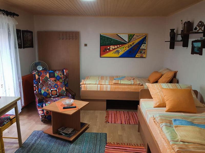 Apartman i Studio Stefan Nemanja Sokobanja view 2