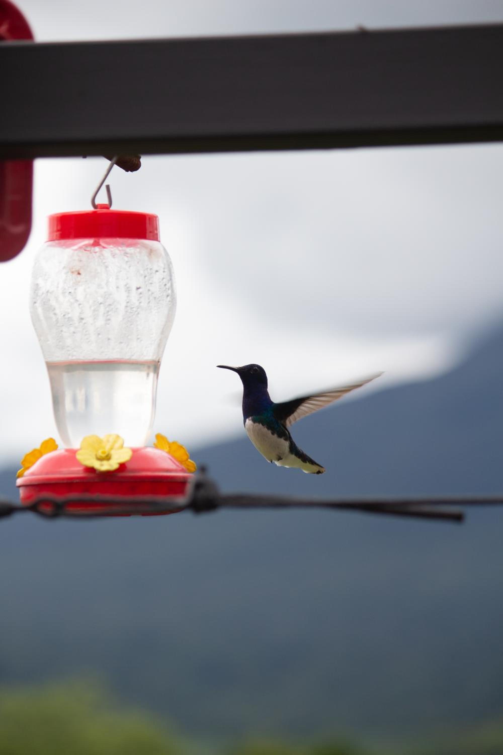 Pura Vista Glamping