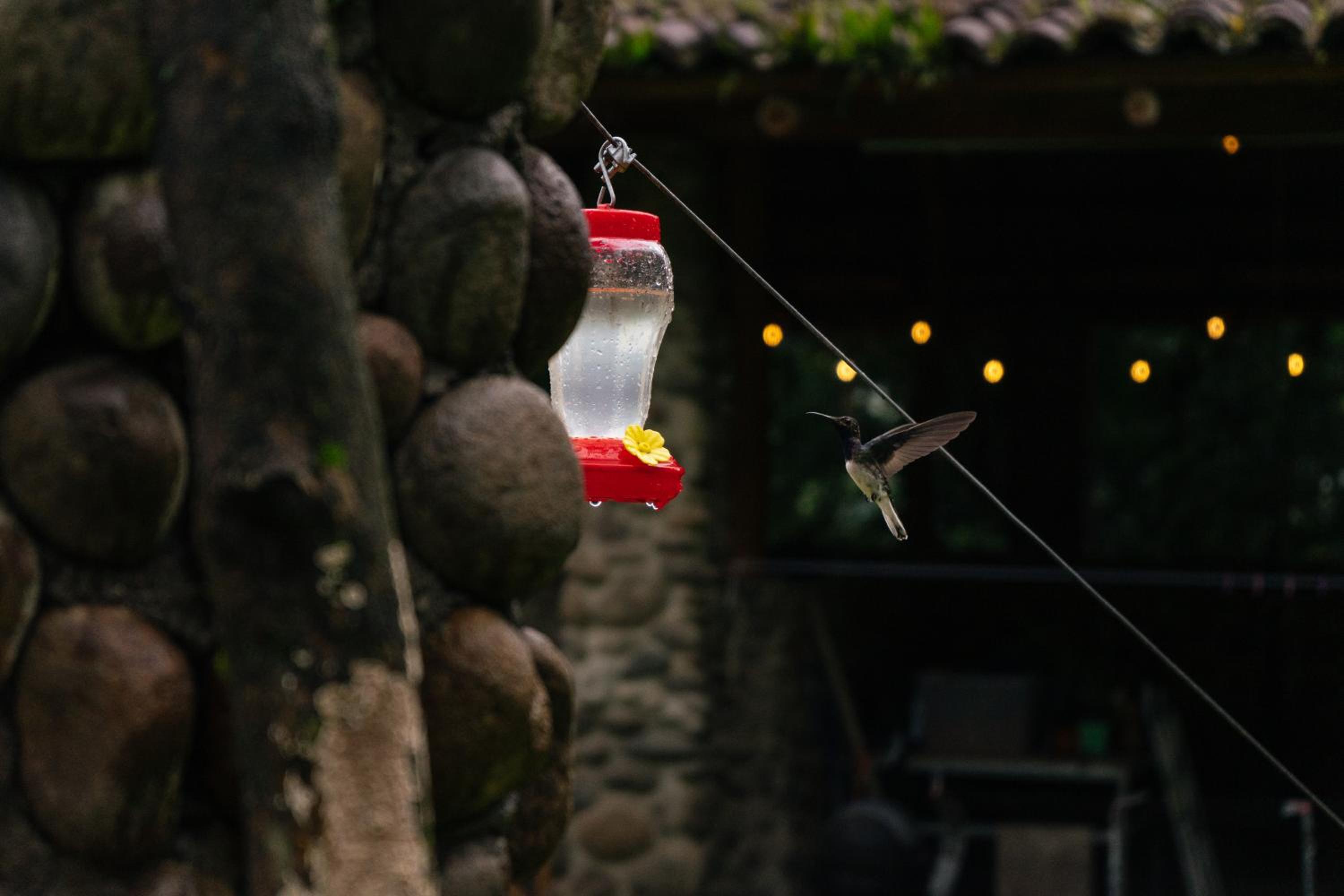 Pura Vista Glamping