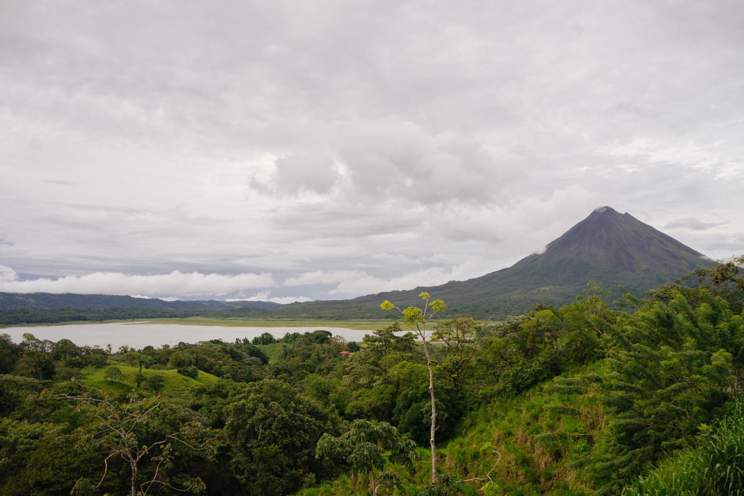 Pura Vista Glamping