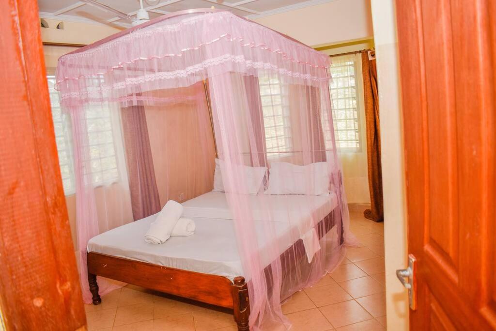 Affordable karura and friends
