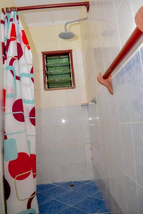 Affordable karura and friends
