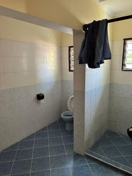 Affordable karura and friends
