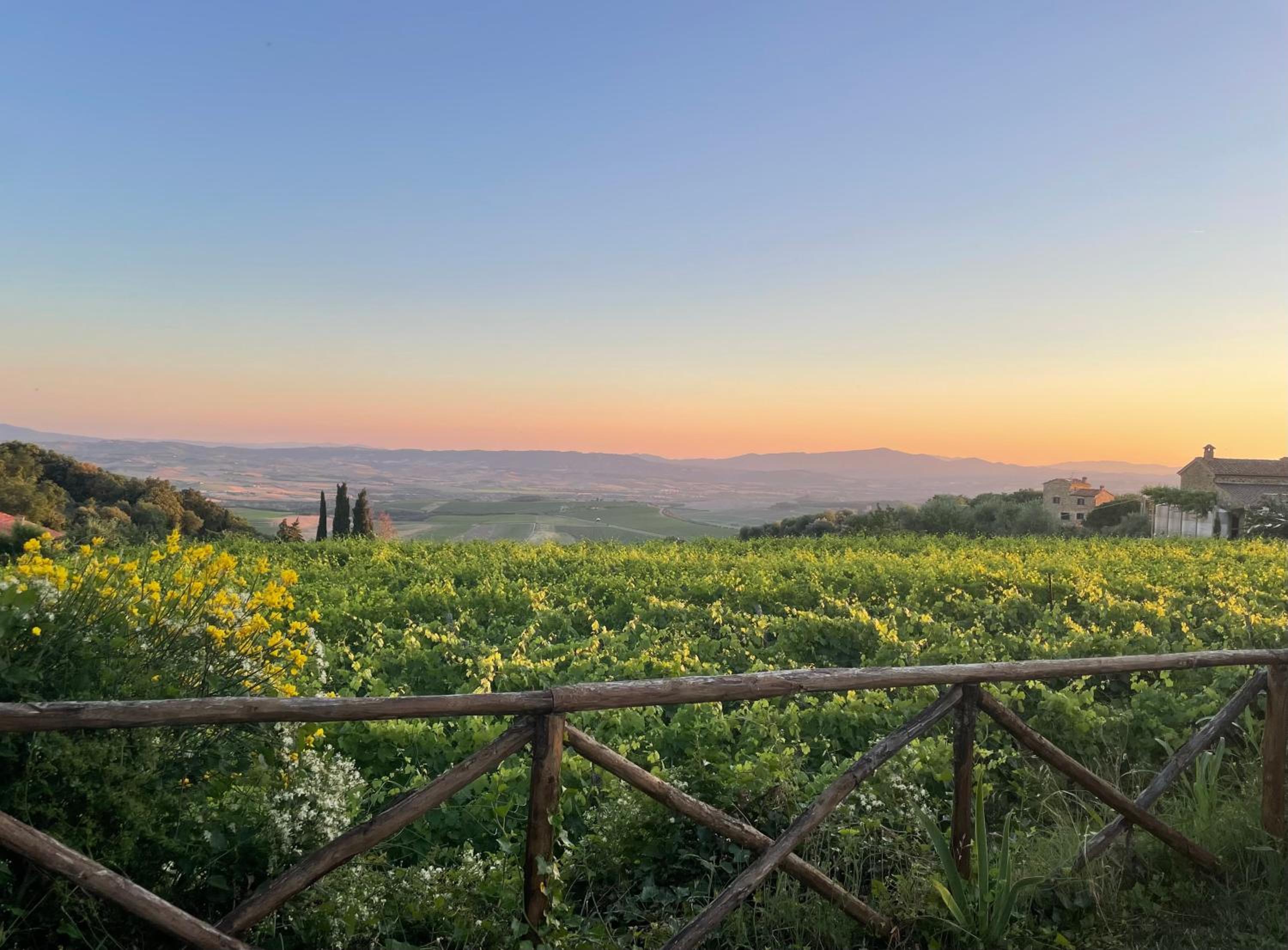 Castel Brunello