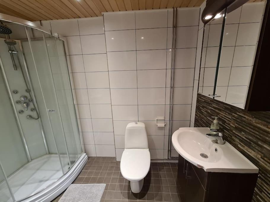 Kurren tupa linnunlaulun keskellä, saunomismahdollisuus