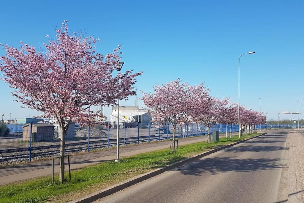 Kurren tupa linnunlaulun keskellä, saunomismahdollisuus