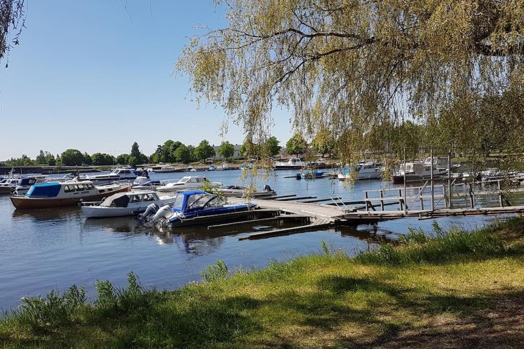 Kurren tupa linnunlaulun keskellä, saunomismahdollisuus