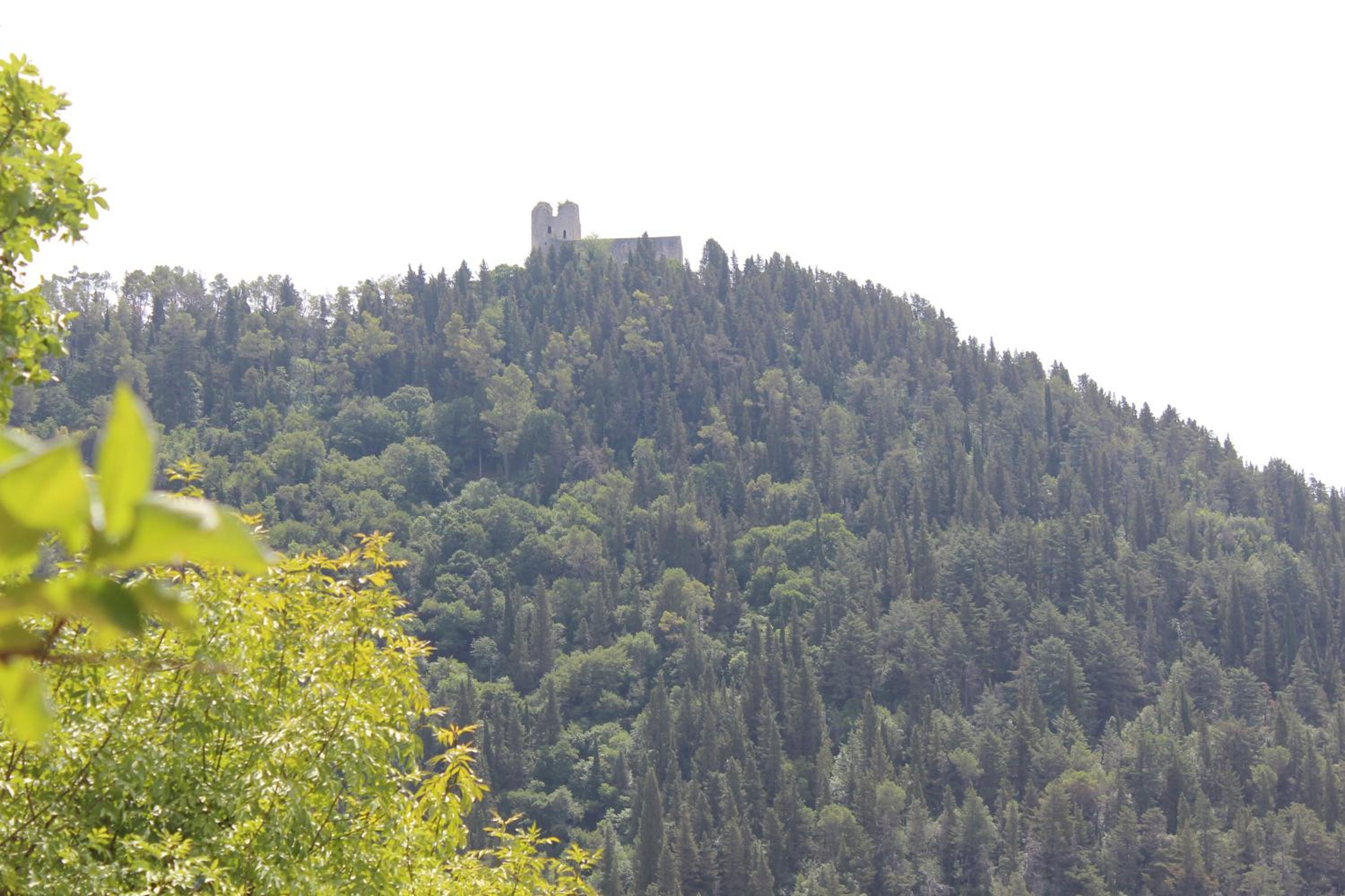 Photo 34
