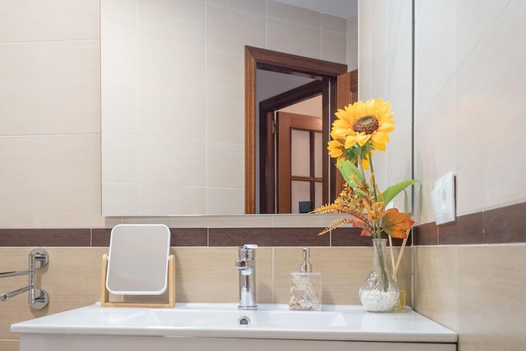 Apartamento Rosole