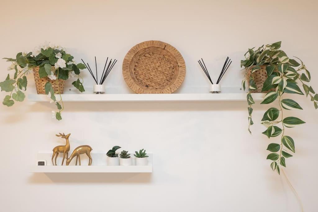 Apartamento Rosole