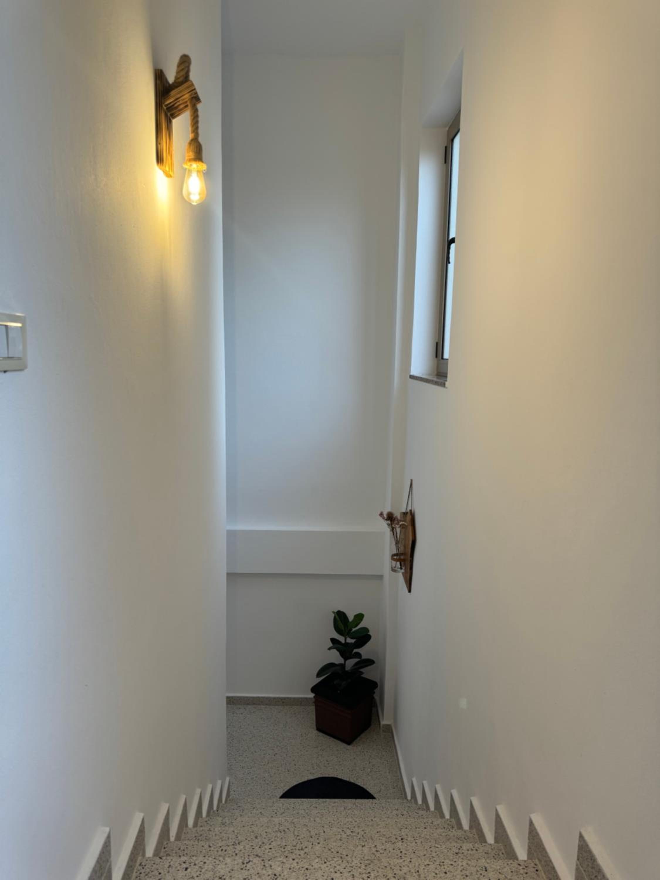 City Nest