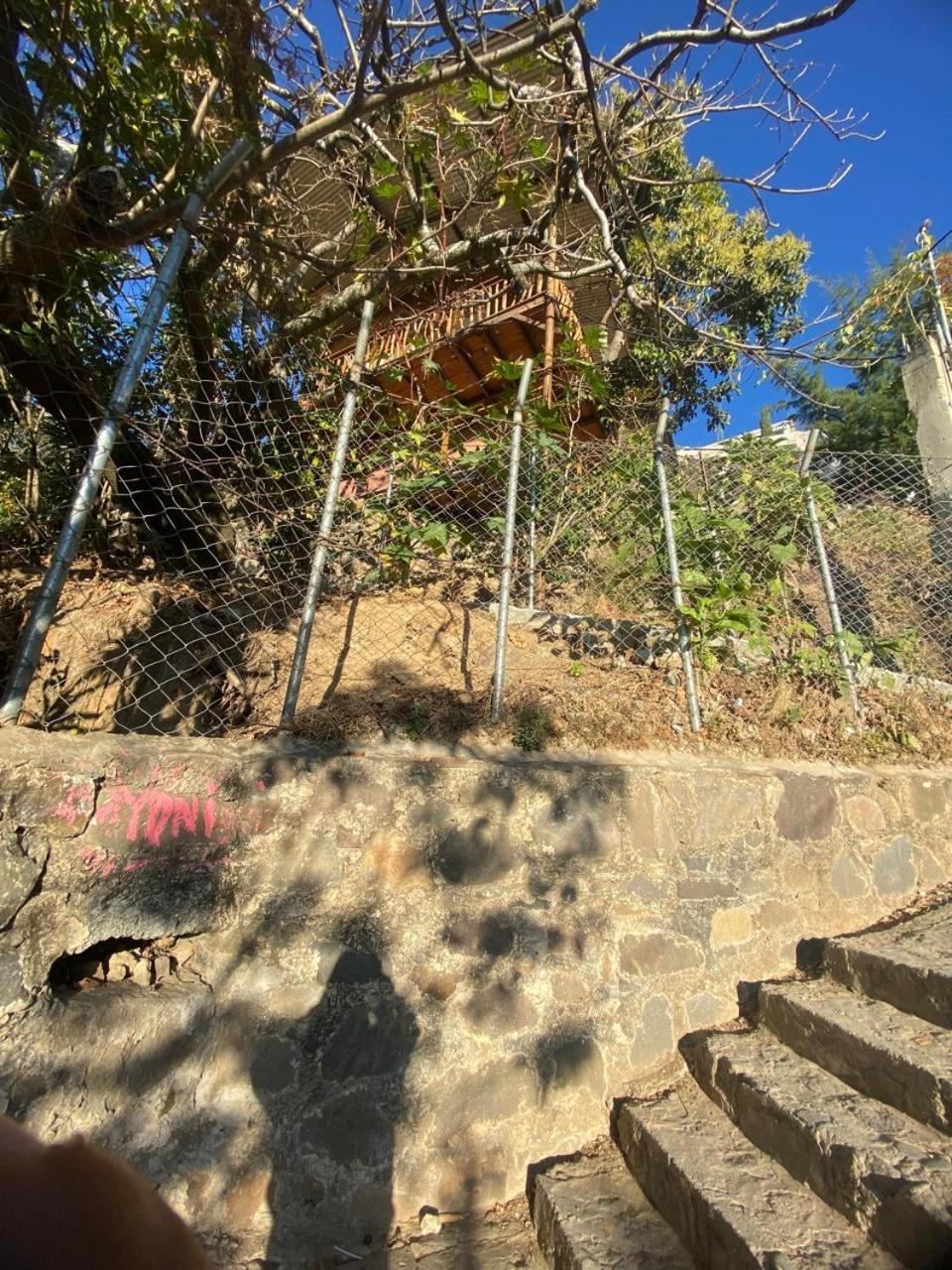 Photo 26