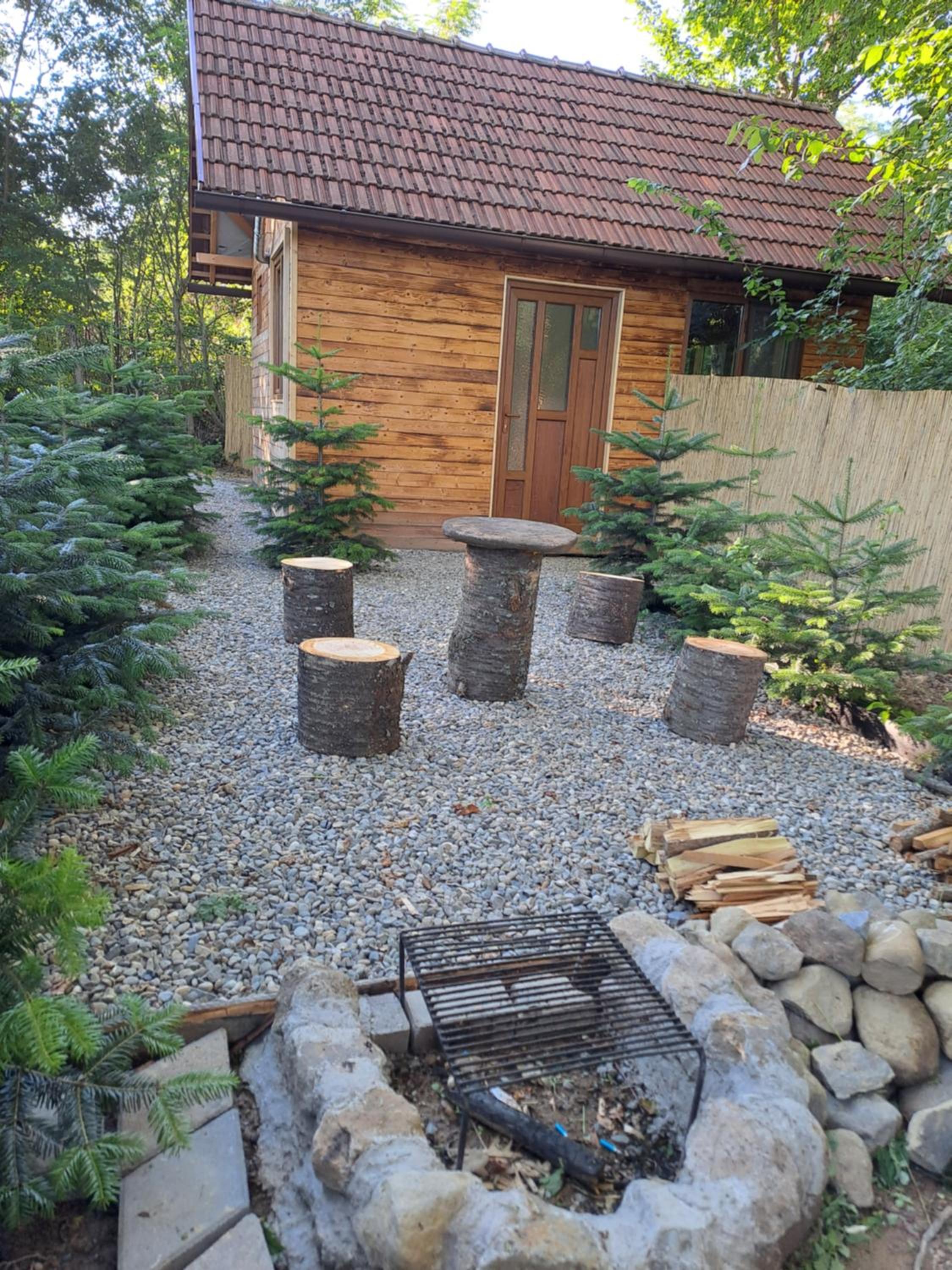 Photo 7