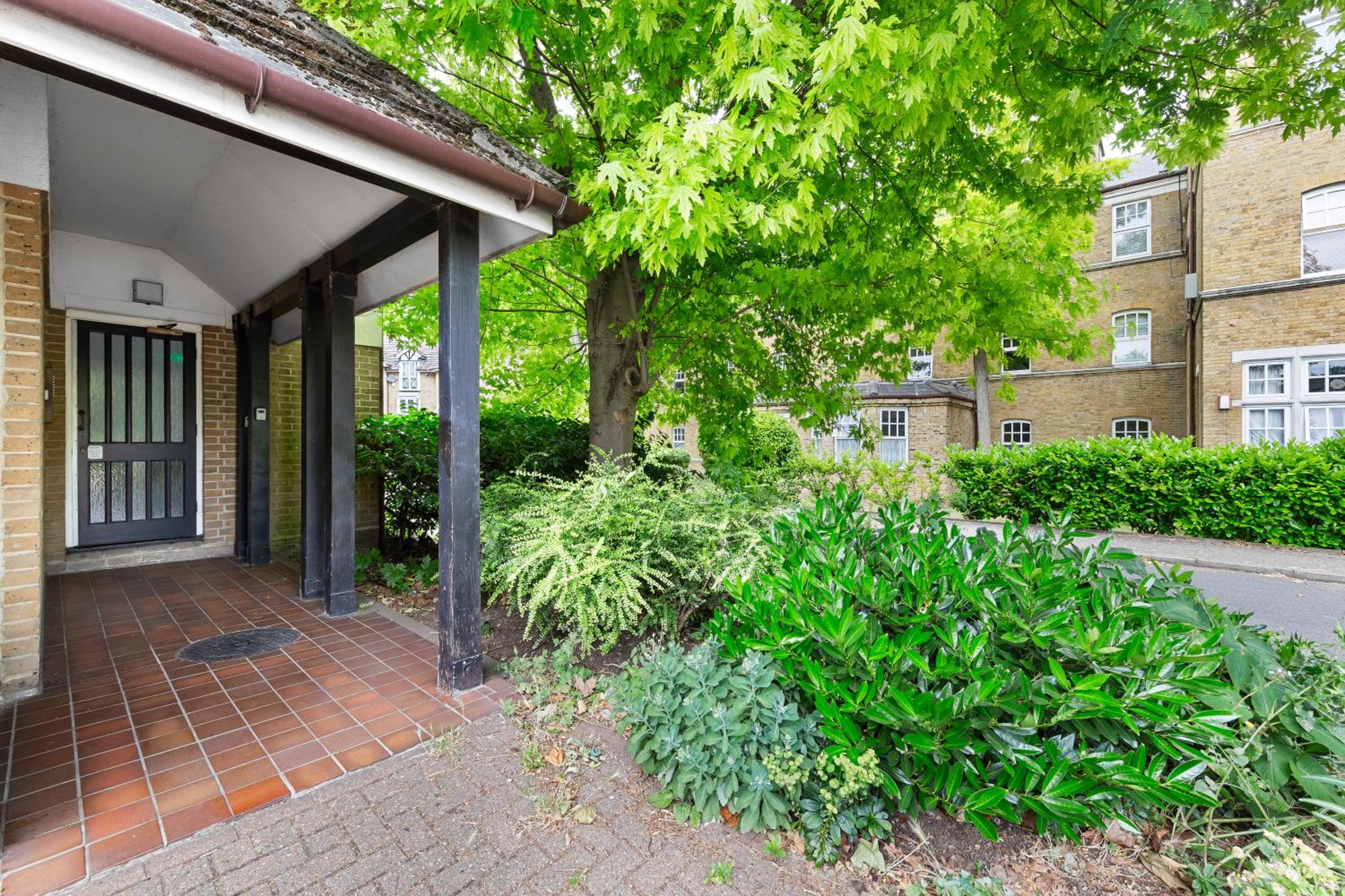 Elegant & Cozy FBS Downtown Flat