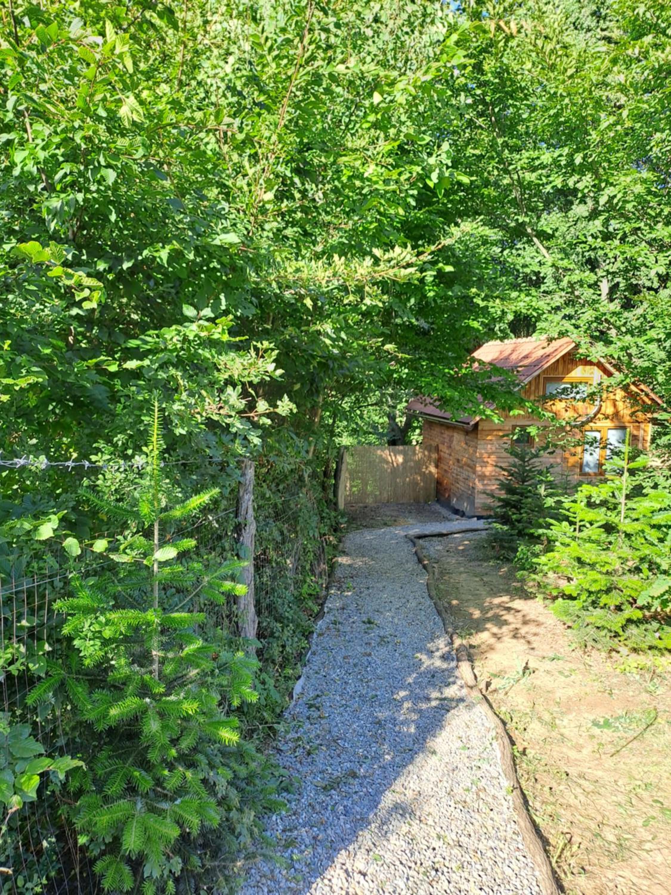 Bear Watching Tiny House view 5