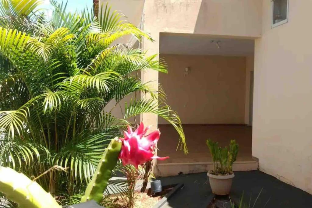 Nakamura Home - Olímpia Sp