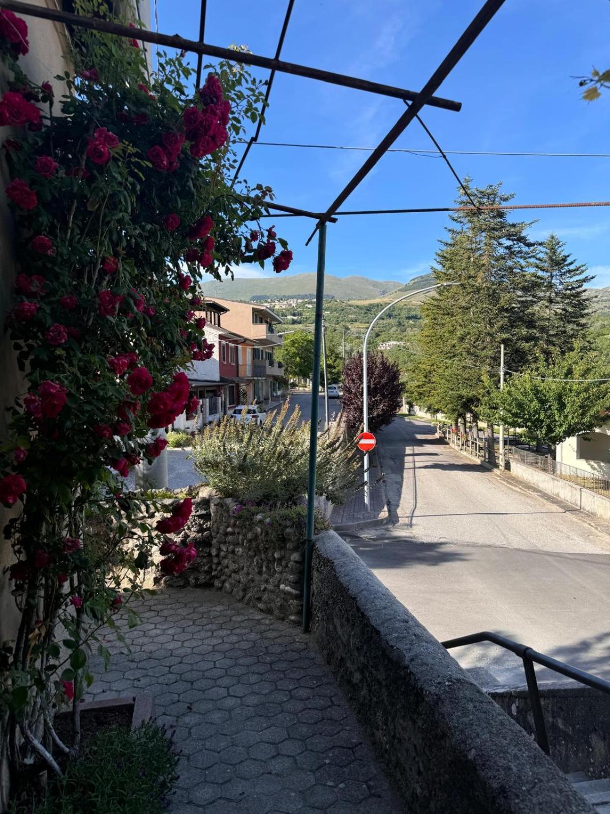Il Pergolato view 2