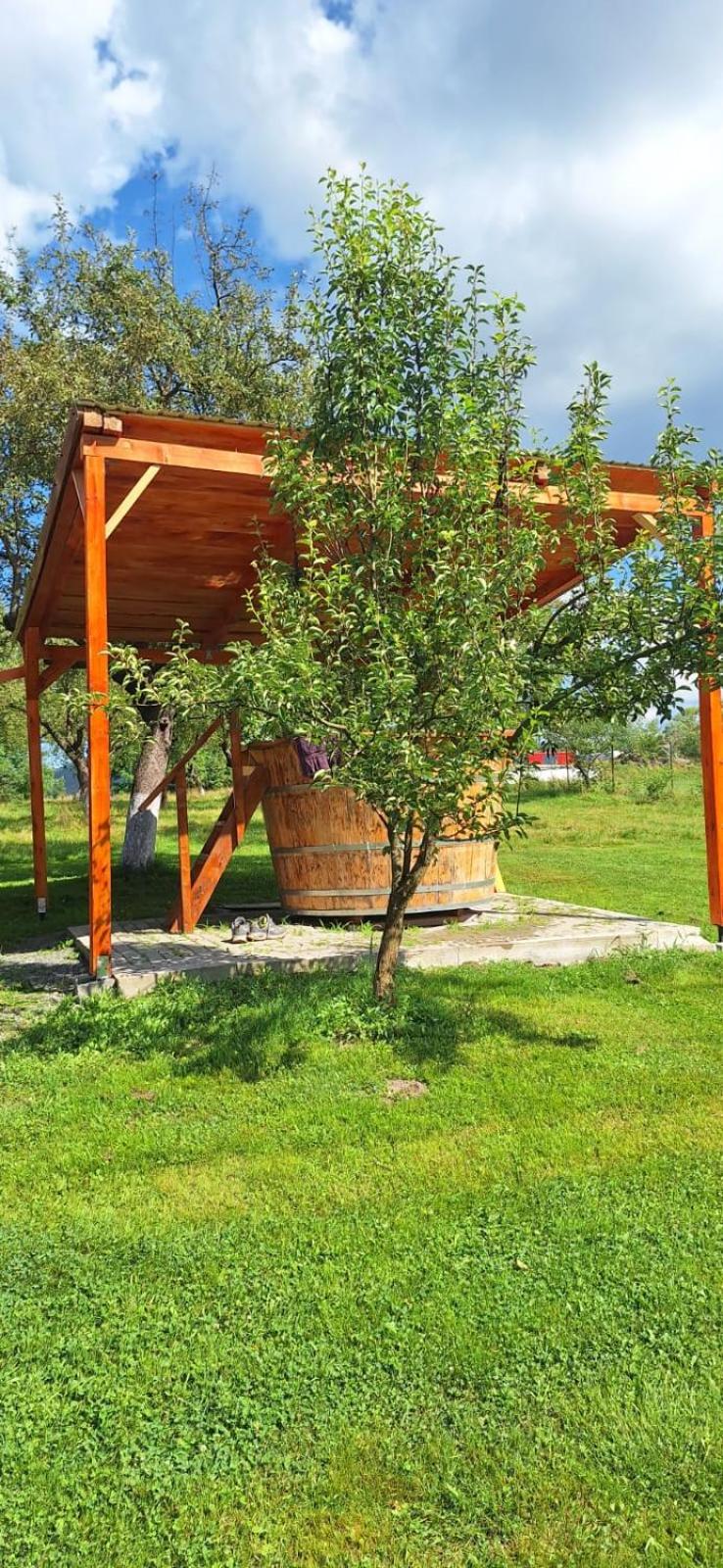 Pensiunea Agroturistica Ica