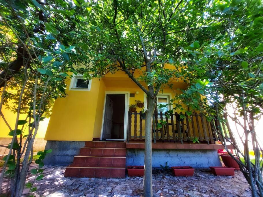 Mudita Houses First house view 4