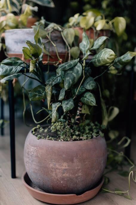 Photo 34