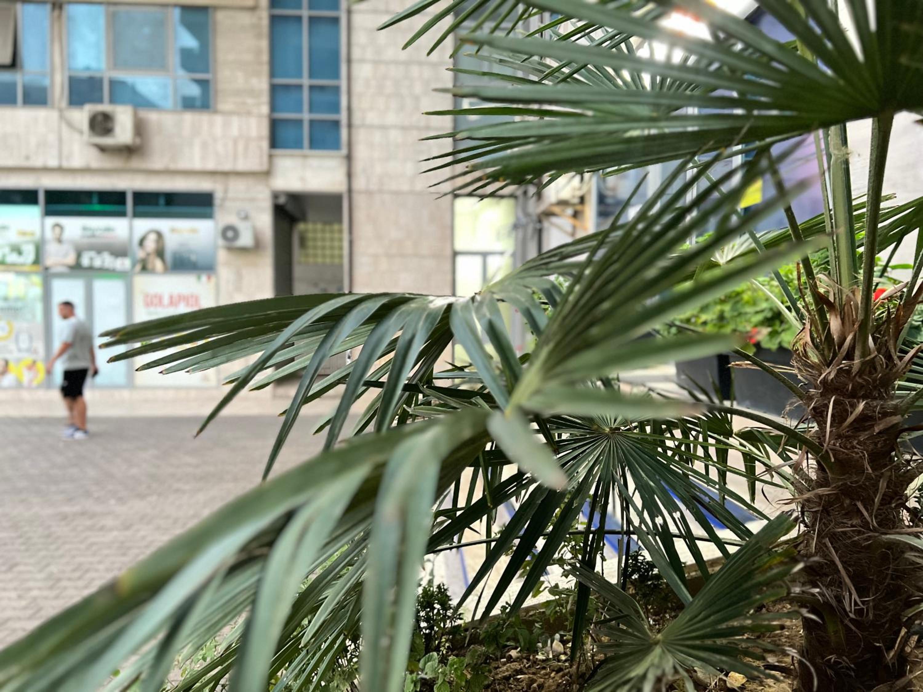 New Baazar Terrace Apartment