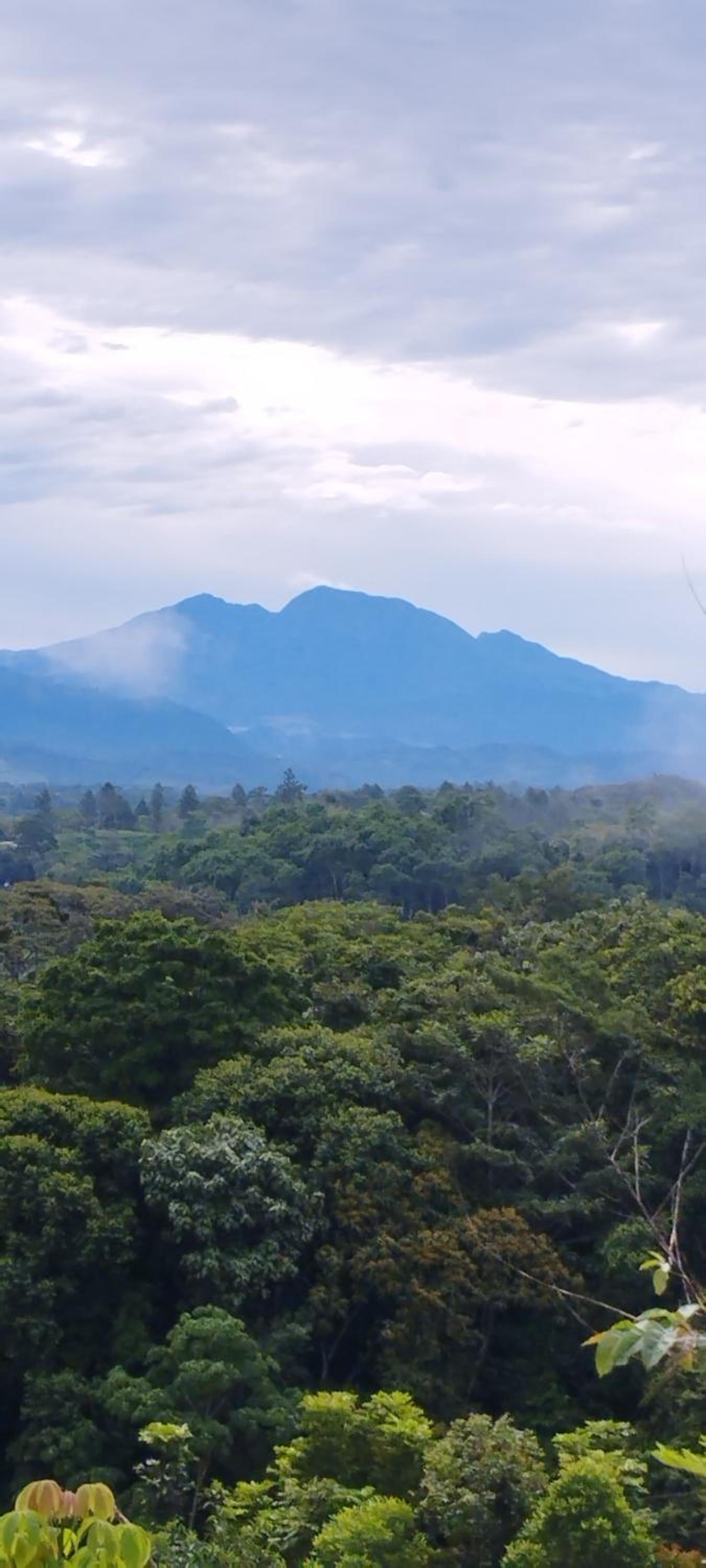 Hospedaje El Paraíso