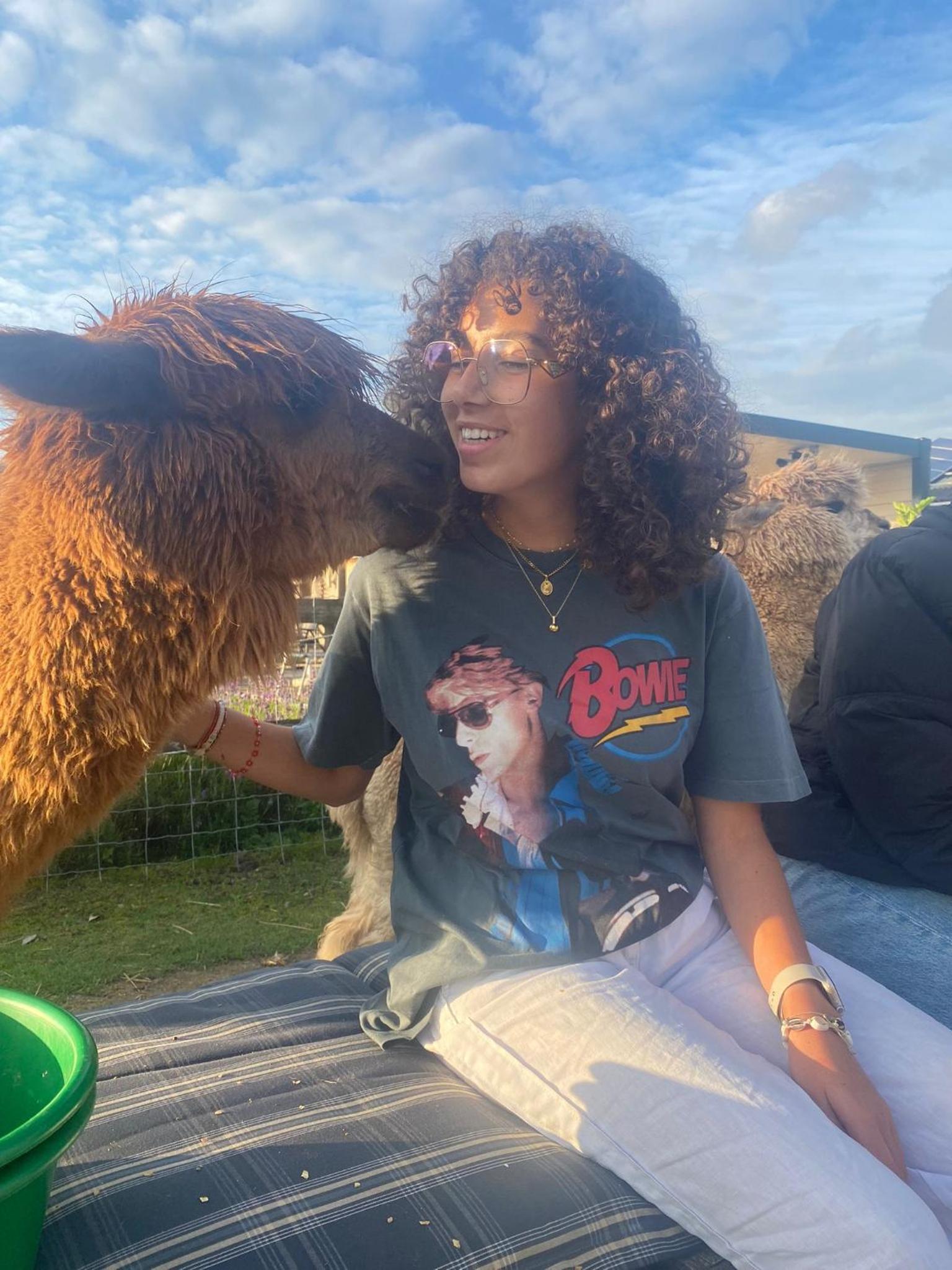 slapen bij alpacas