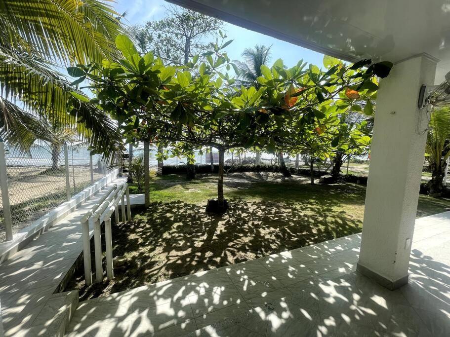 Costa Azul, Necoclí