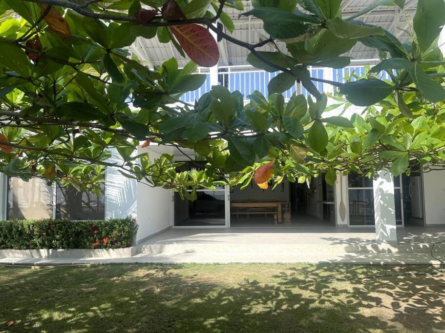 Costa Azul, Necoclí
