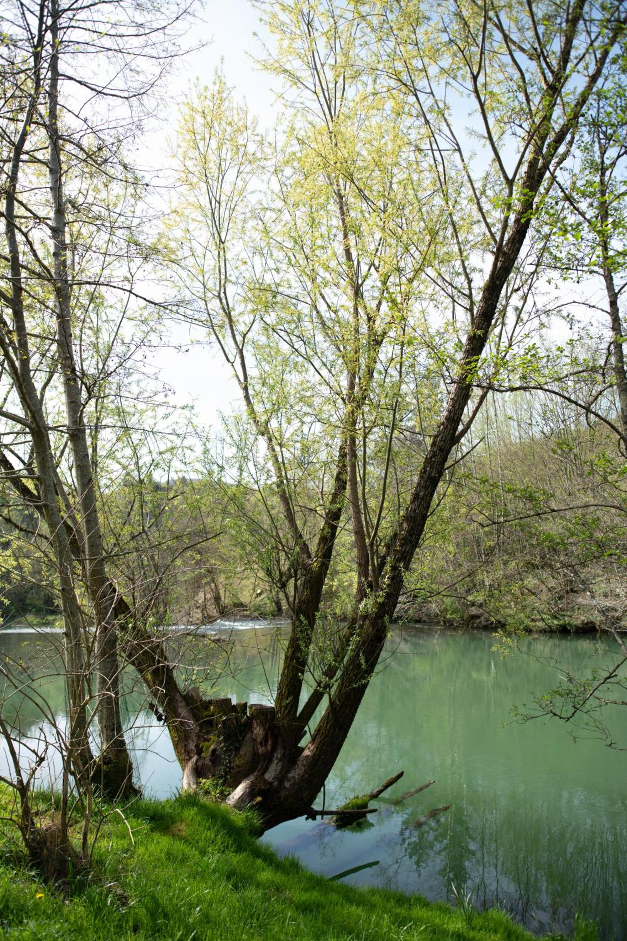 Riverside House Krka
