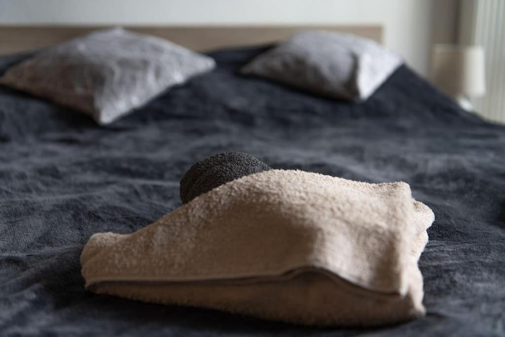 The entire apartment 4 you in the hearth of Berlin
