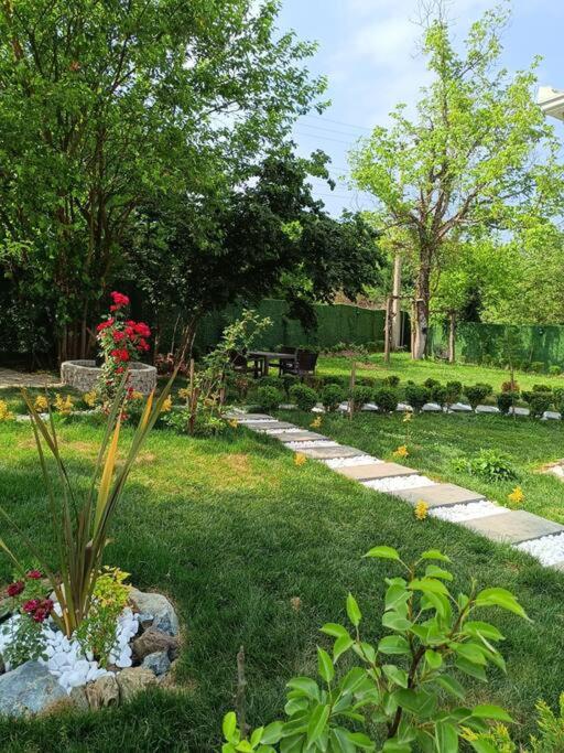 Doğa Home